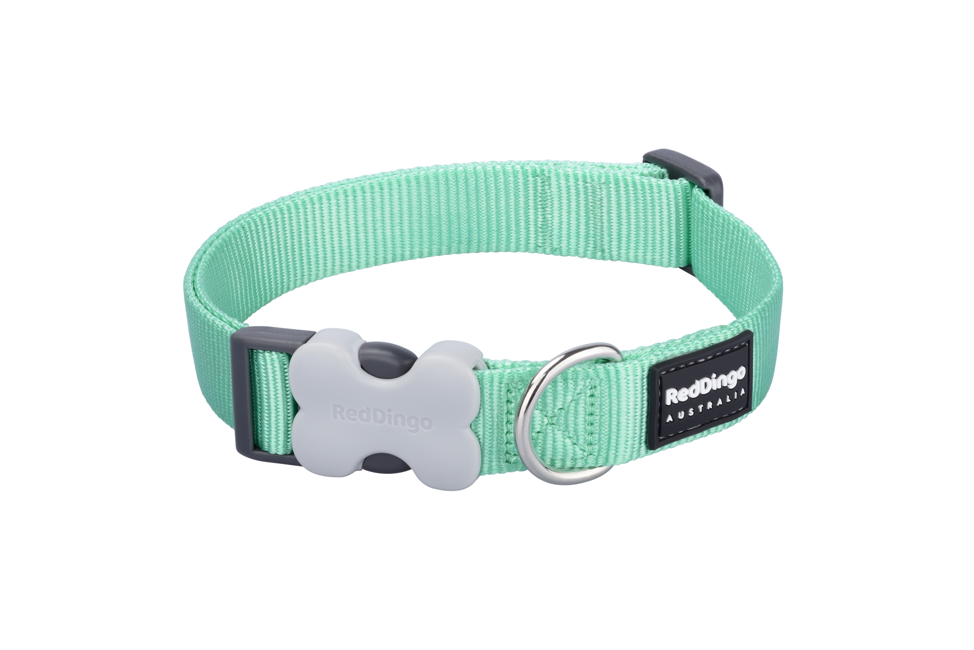 Red dingo Suņu kakla siksna pasteļzaļa