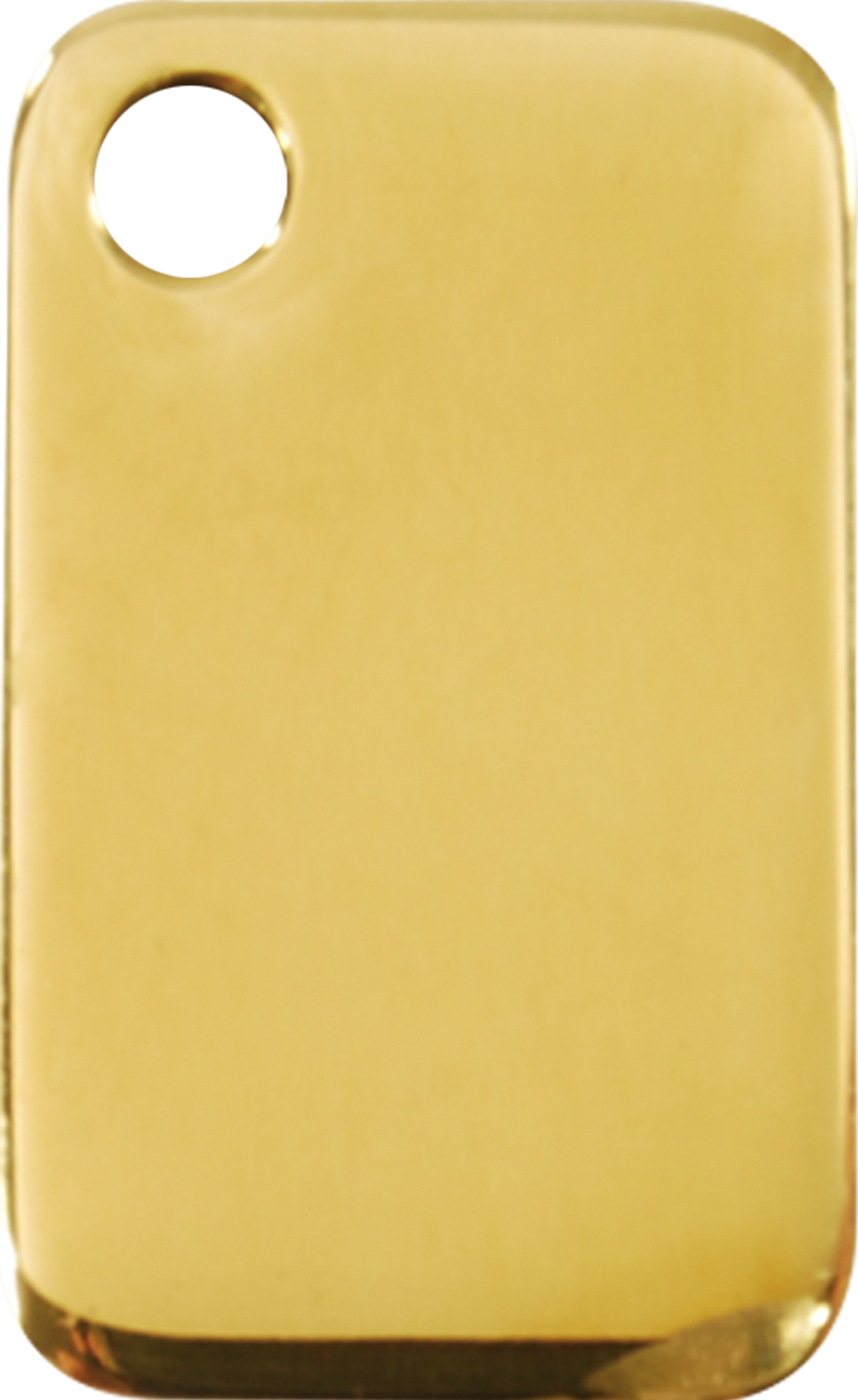 Mājdzīvnieku ID piekariņš Taisnstūris