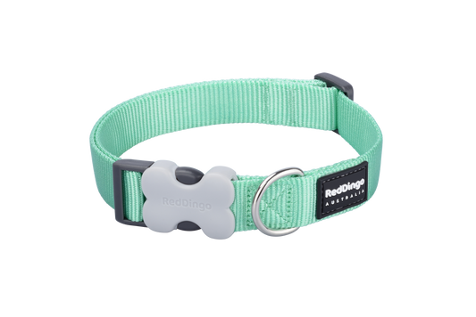 Dog collar pastel green