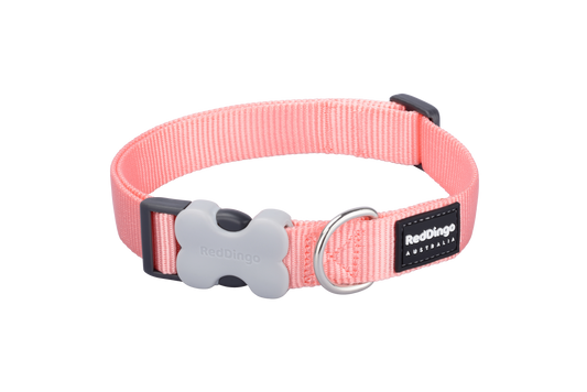 Dog collar pastel orange